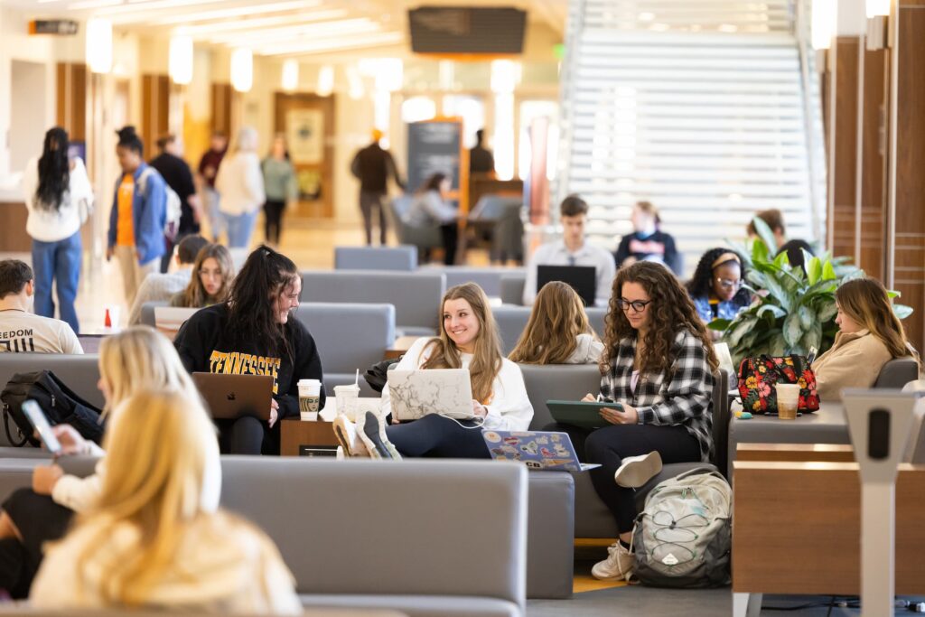 students working on laptops on campus